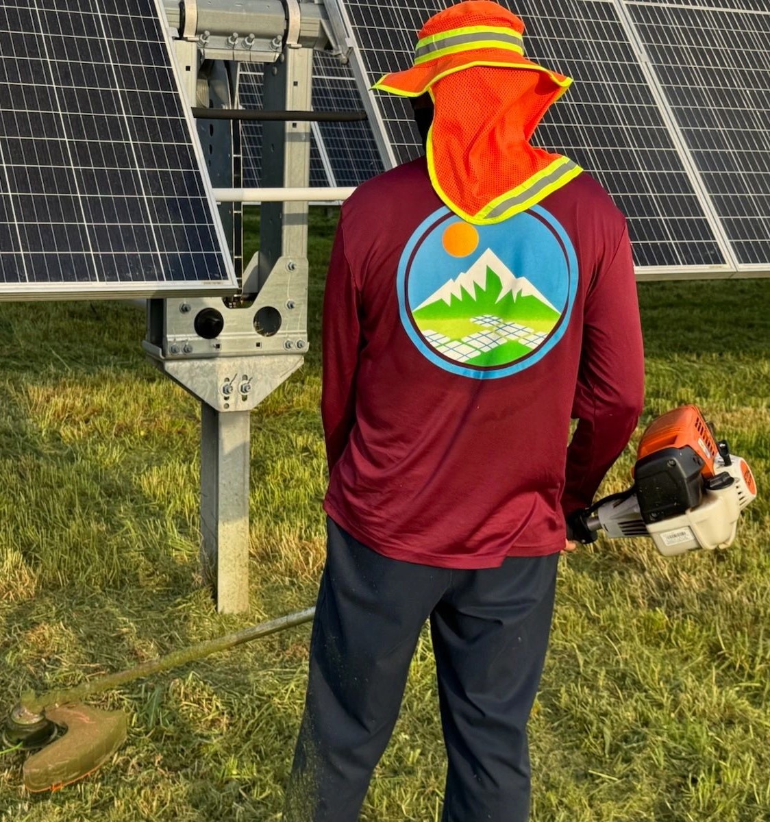 Solar Farm Vegetation Management